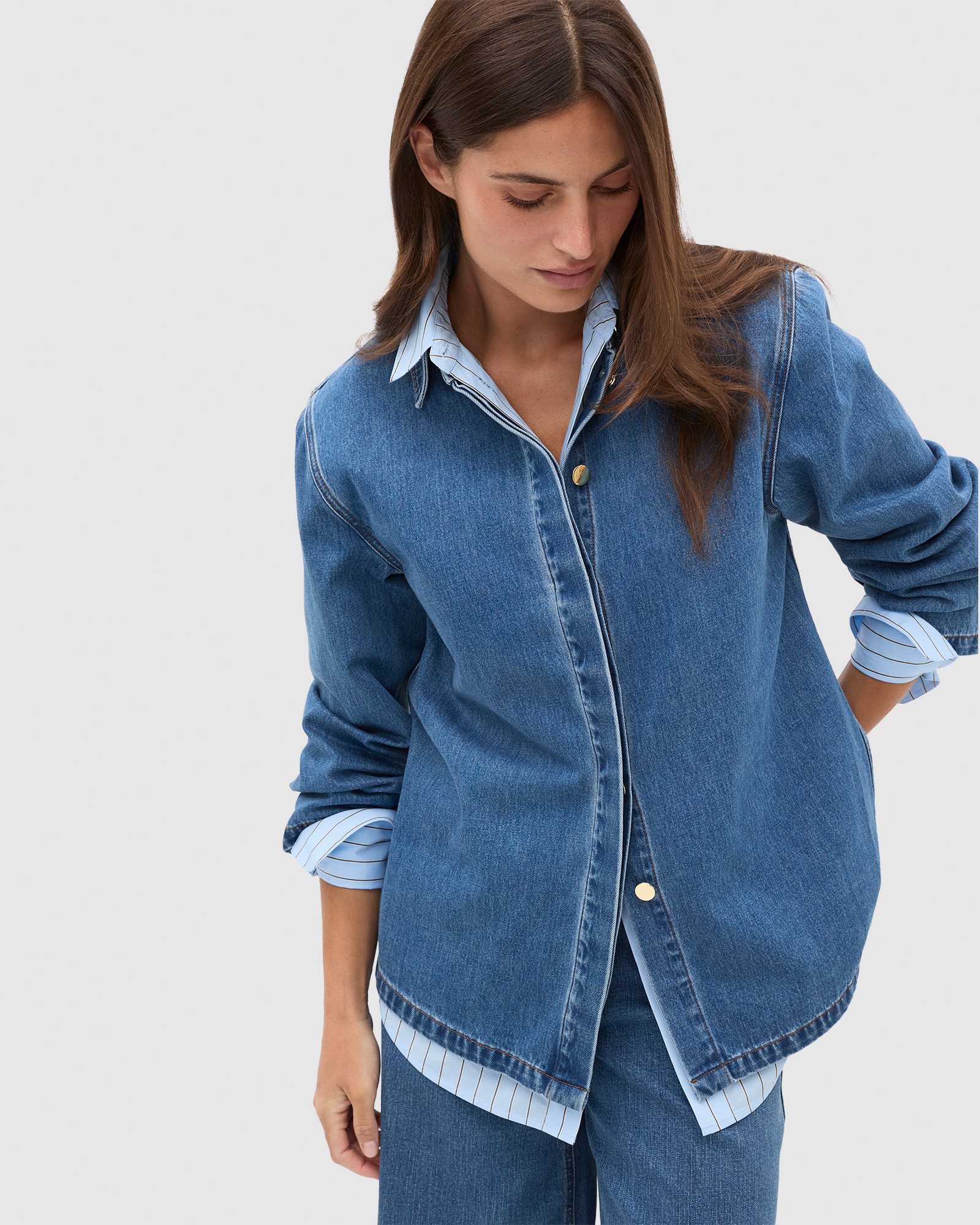 Denim Concealed Placket Shirt