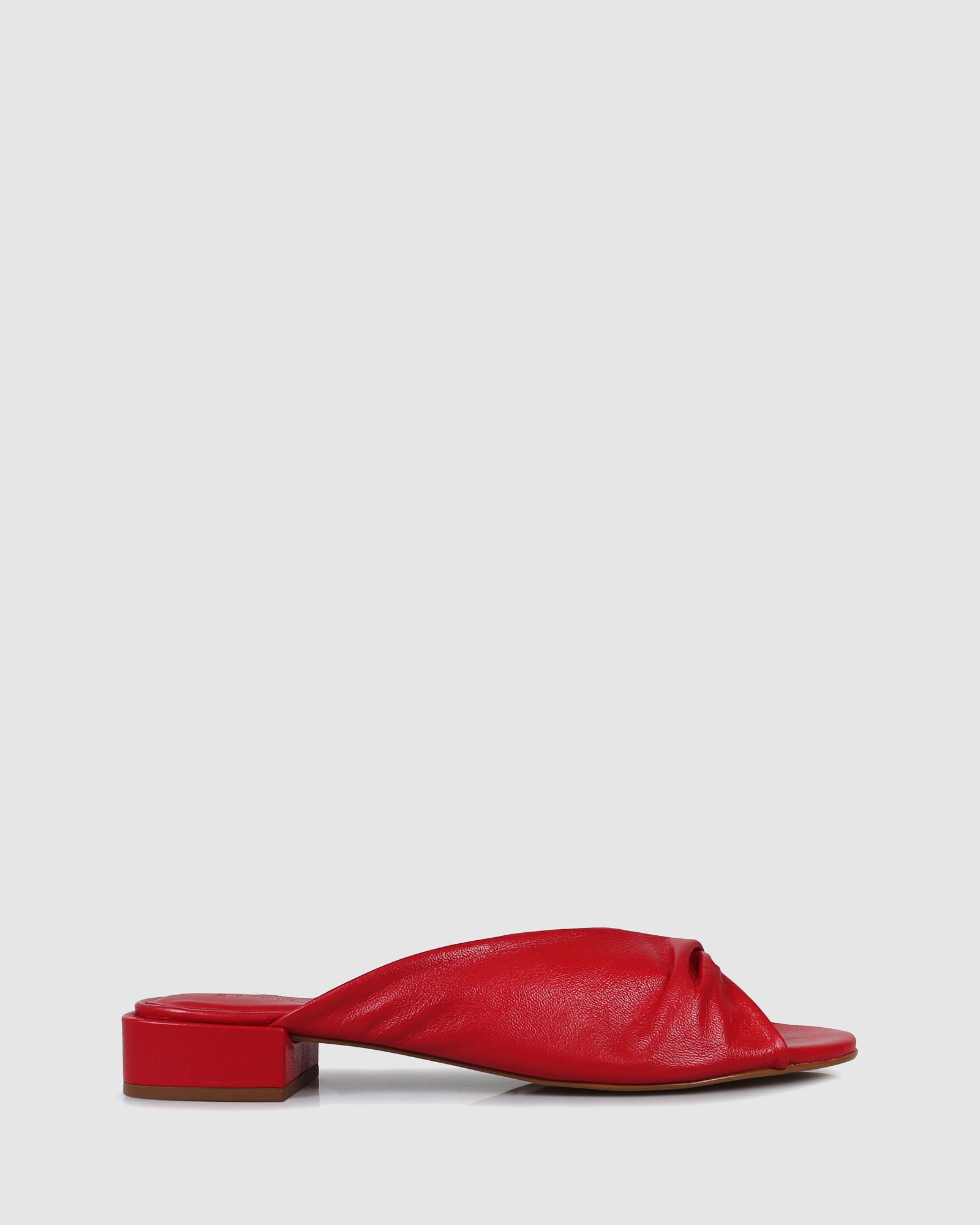 Aziza Slides