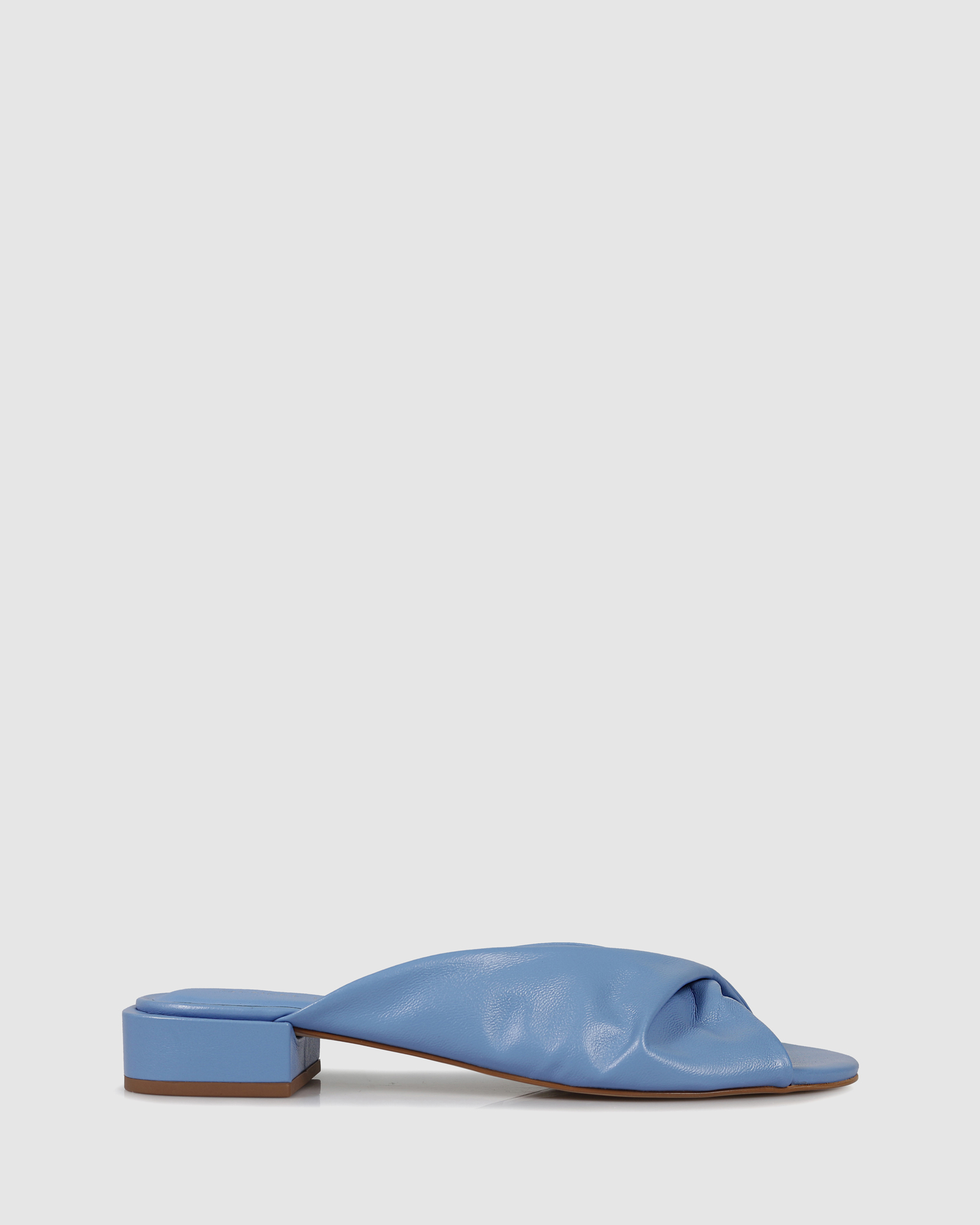 Aziza Slides