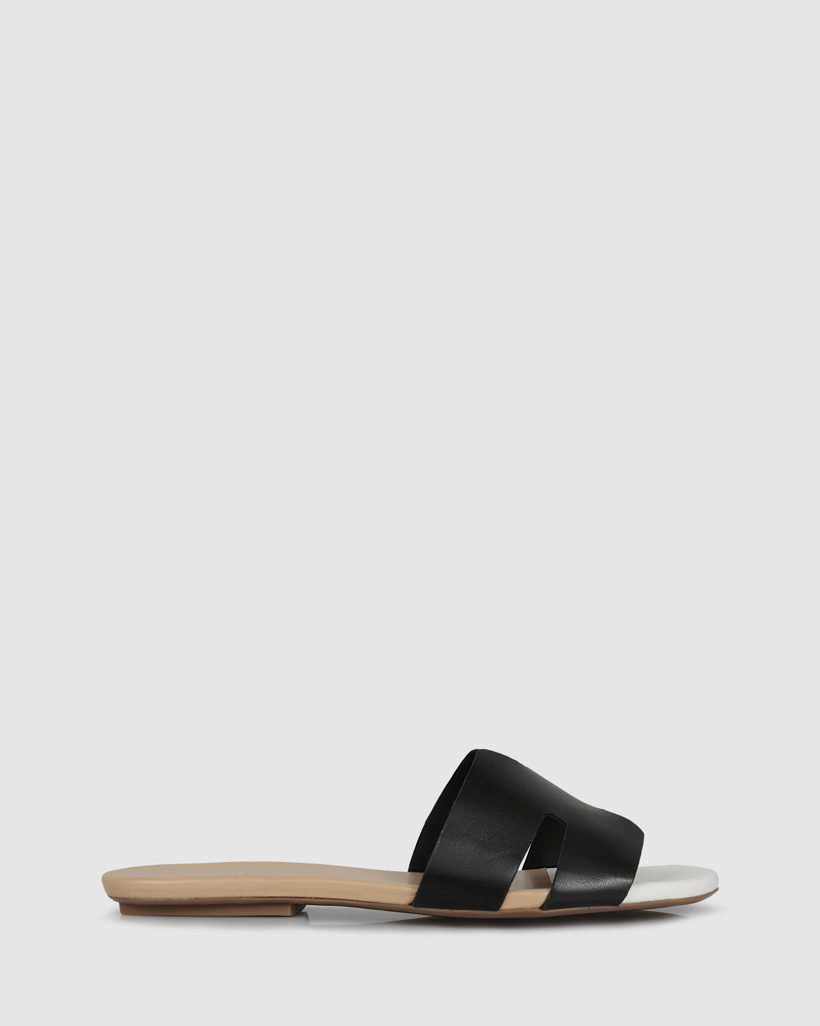 Ludovica Slides