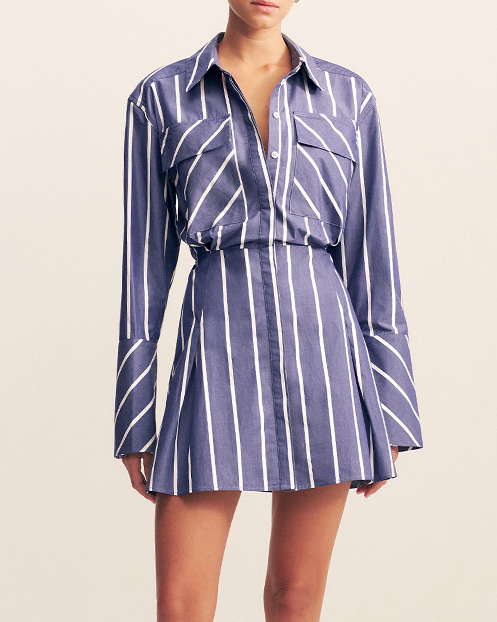 Cambridge Shirt Mini Dress