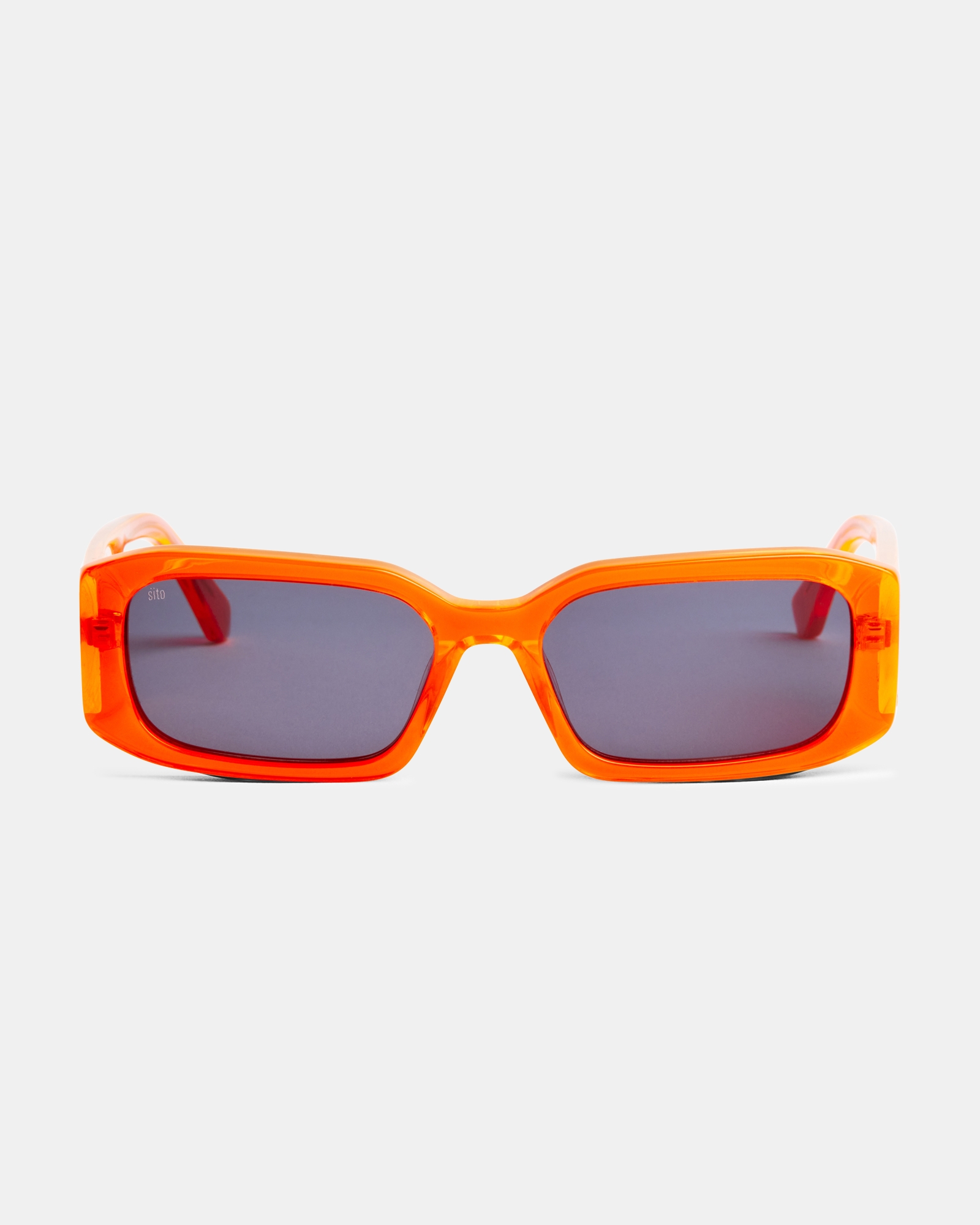 Electro Vision