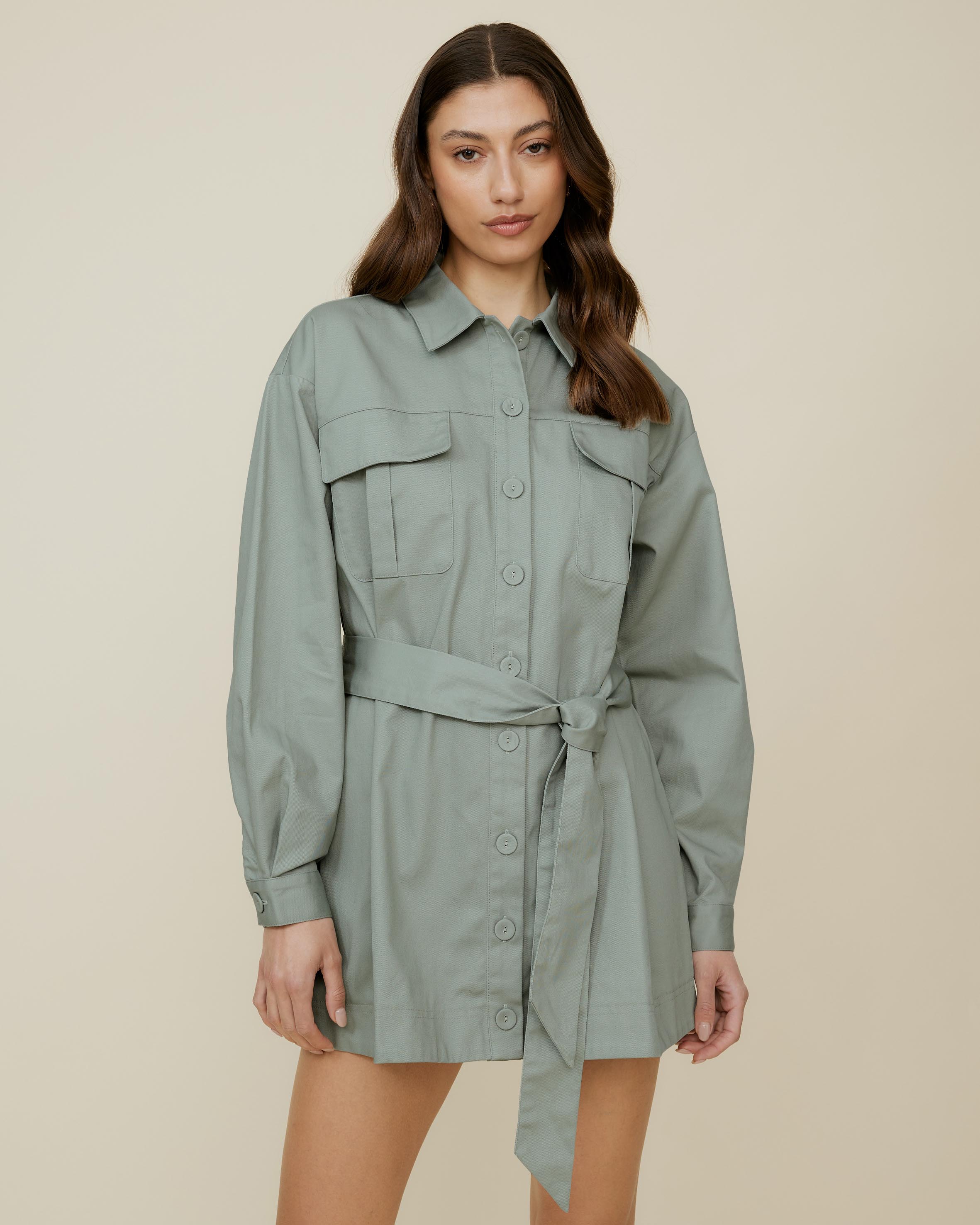 Tara Shirt Dress