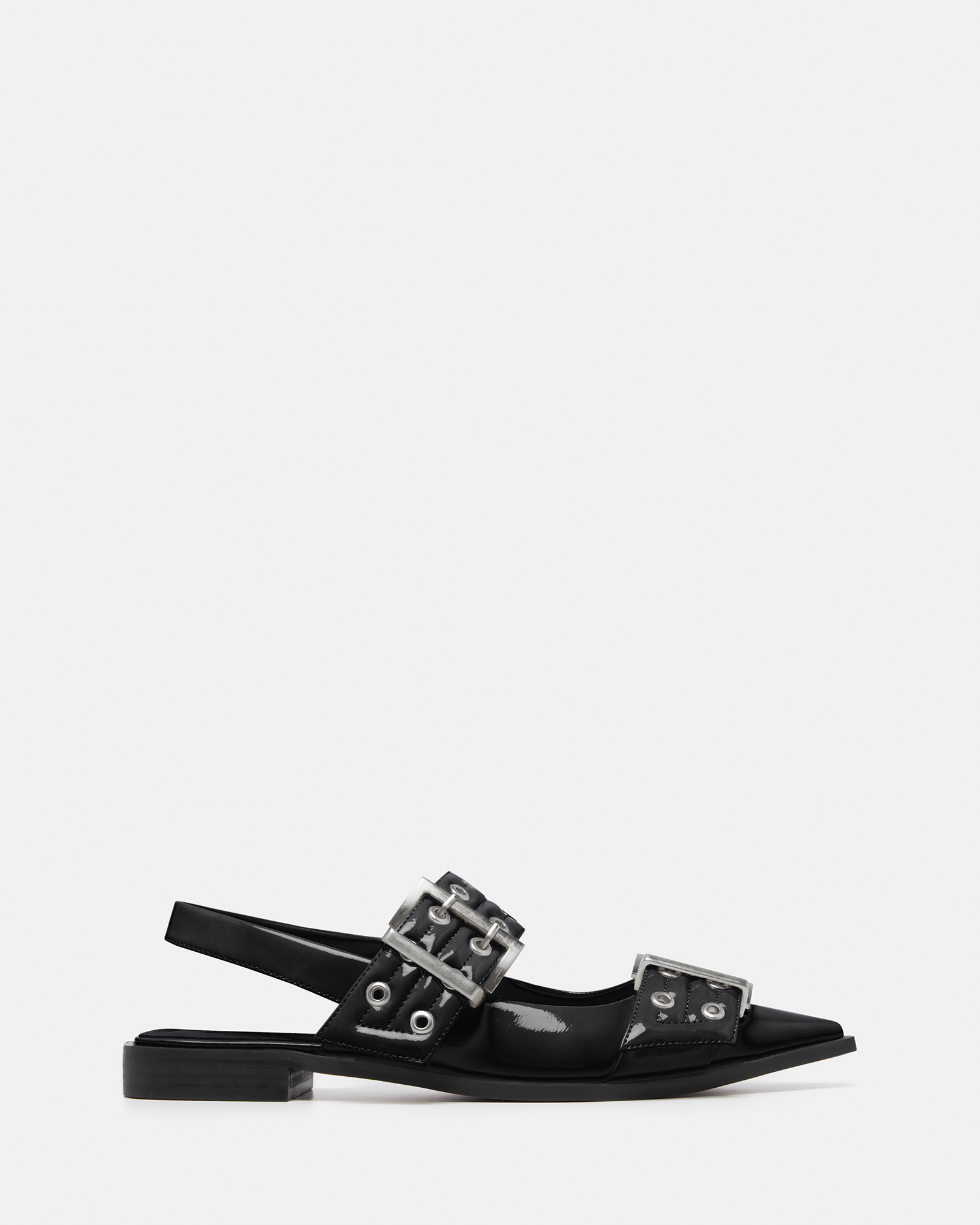Matilda Pointed Ballet Flat