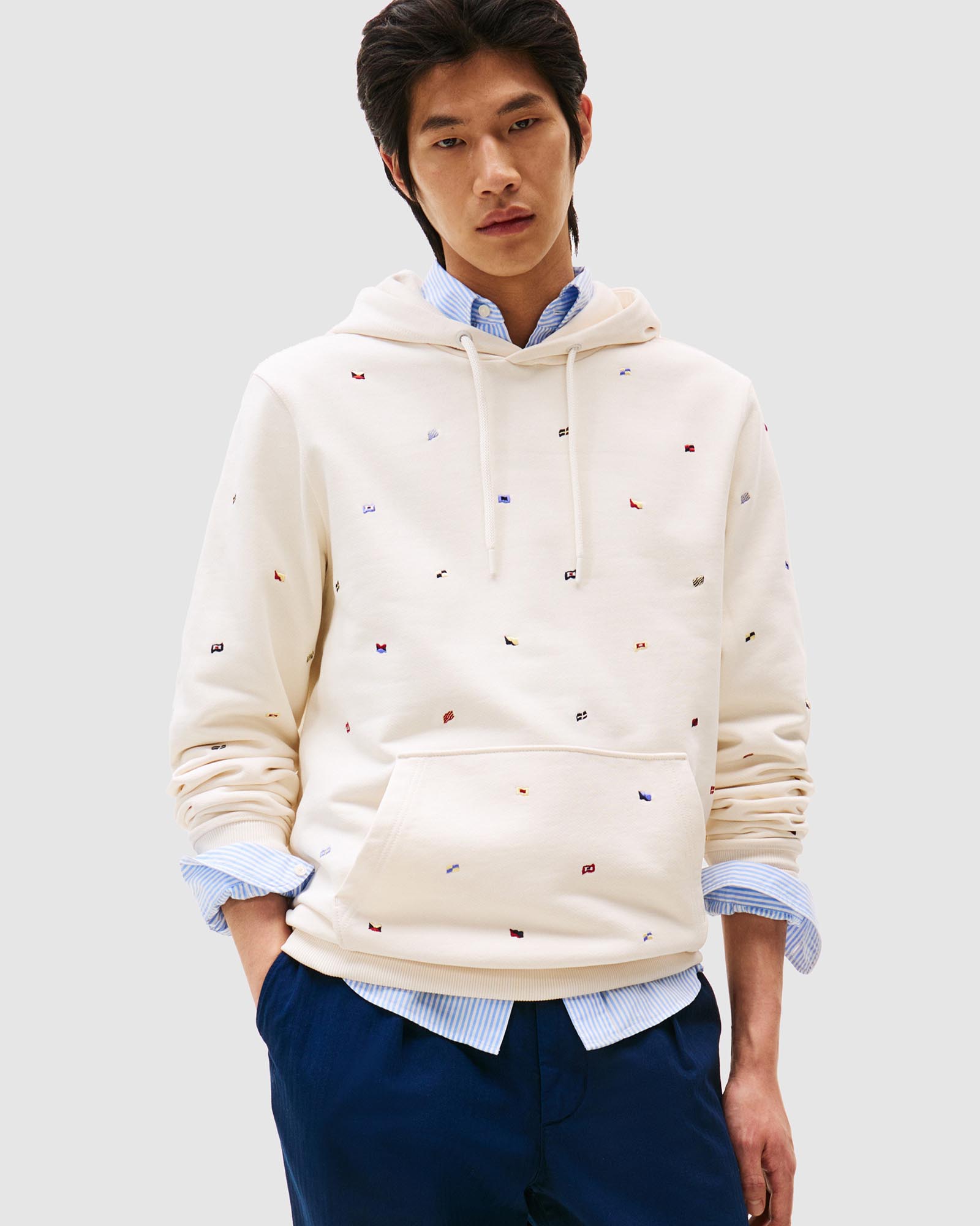 All Over Print Flags Hoodie