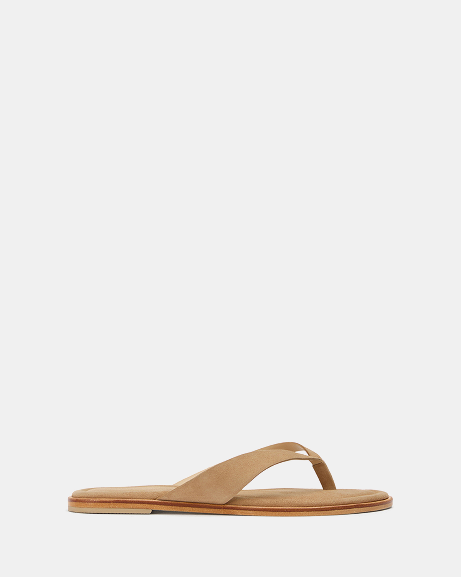 Sahara