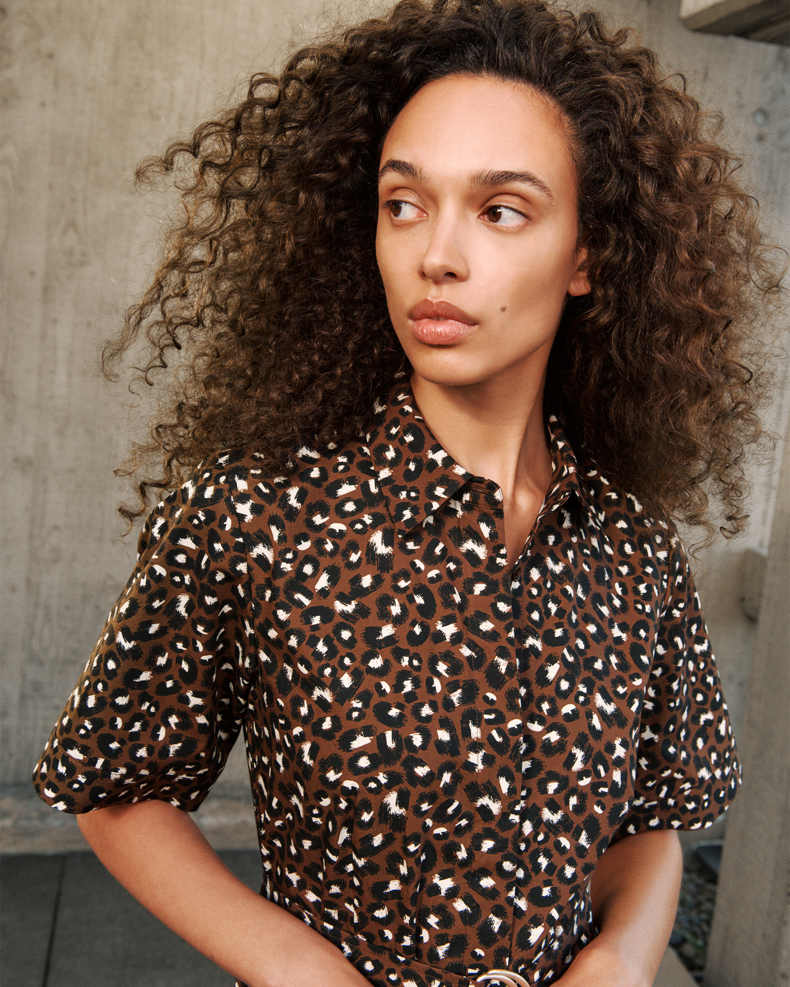Leopard Poplin Belted Dress in Bitter Chocolate
