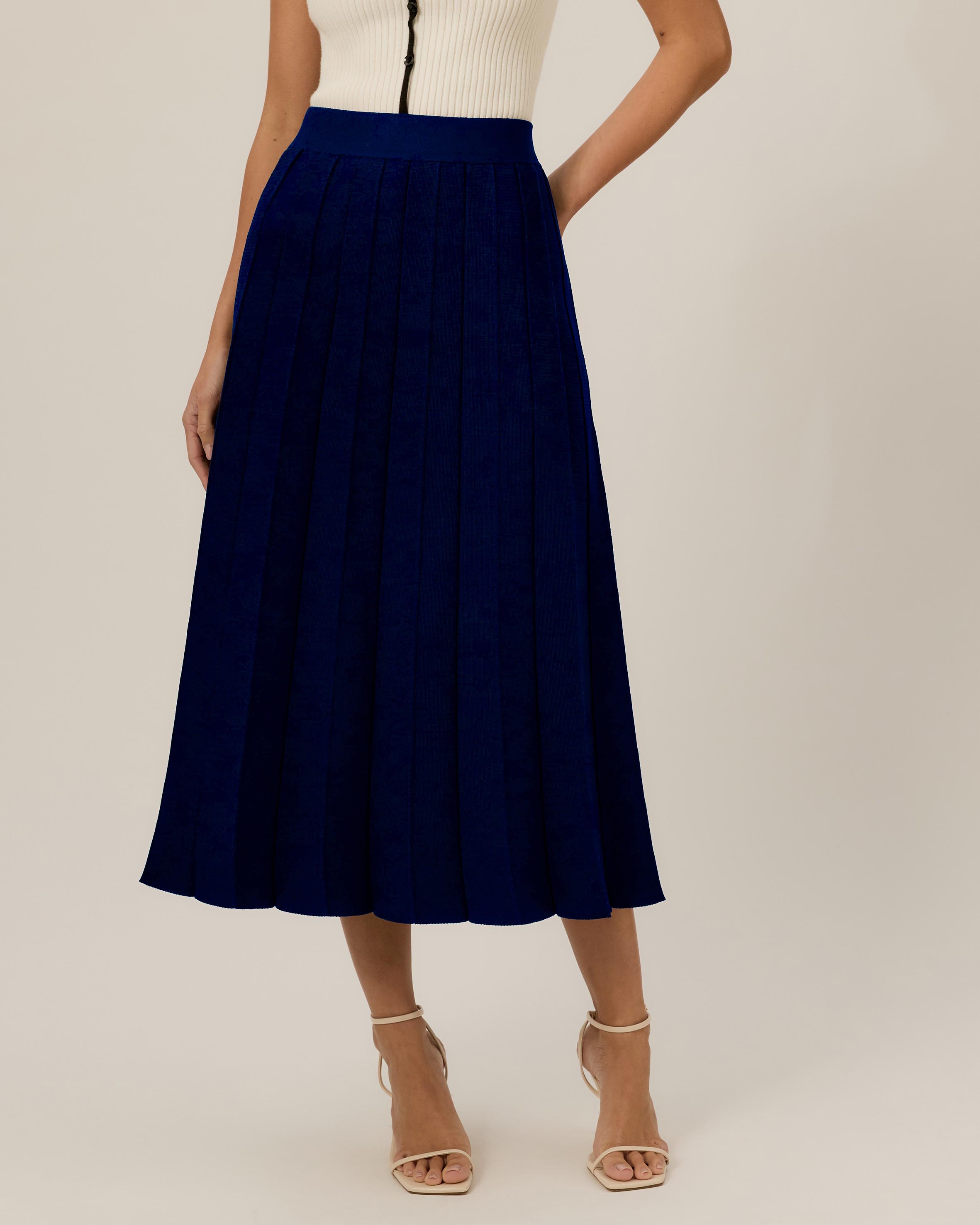 Lisa Pleated Knit Skirt