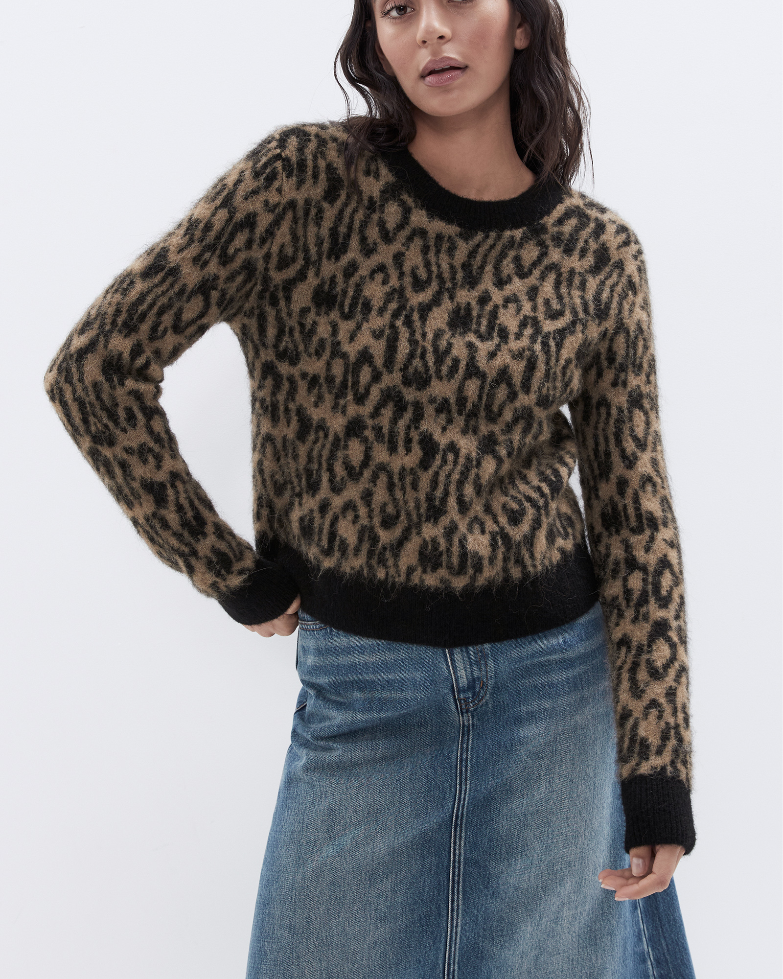 Lofty Intarsia Crew Neck Knit