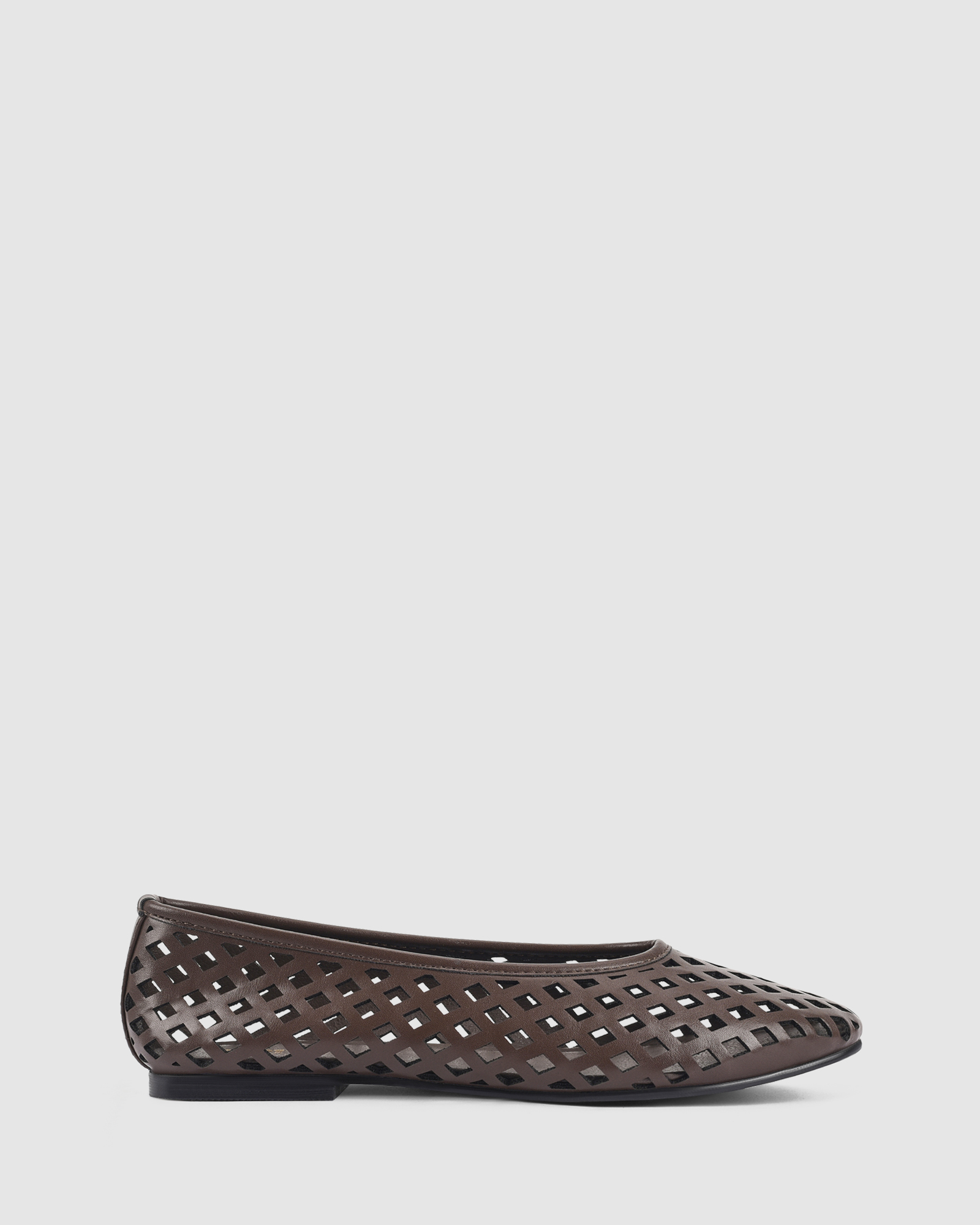 Dazed Ballet Flats