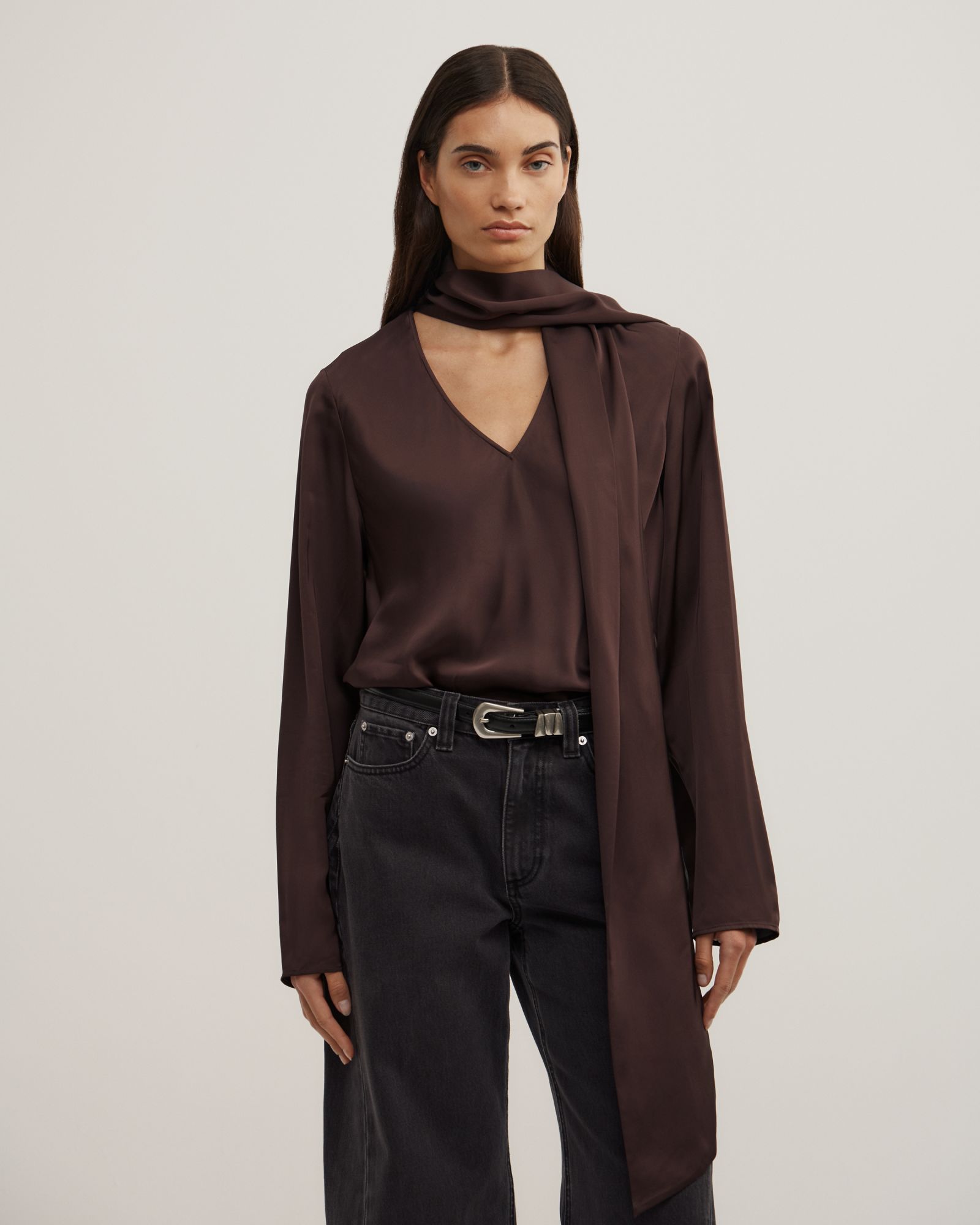 Long Sleeve V-neck Scarf Top